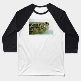 Crabeater Seal, Ross Sea, Antarctica Baseball T-Shirt